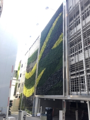 Living-Green-Wall-Installation-at-9255-Sunset-Blvd-Los-Angeles-3