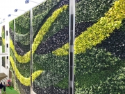 Living-Green-Wall-on-Sunset-Los-Angeles-2