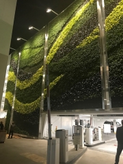 Living-Green-Wall-on-Sunset-Los-Angeles-1