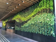 interior-living-green-wall-design-los-angeles-NETFLIX