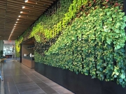 interior-living-wall-maintenance-los-angeles-at-Netflix-by-your-plant-service