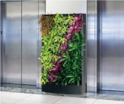 living-wall-gallery11