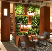 living-wall-gallery4-picture-wall