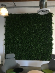 VersaWalls-living-green-walls-los-angeles-MASHABLE -1