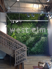 living-wall-gallery1-west-elm-los-angeles