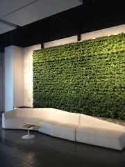 living-wall-gallery5-livenation-hollywood