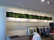 living-wall-gallery7-intermix-beverly-hills