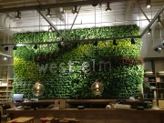 living-wall-west-elm-south-coast