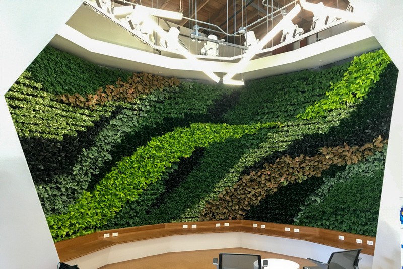 Living Wall Commercial Building, Los Angeles