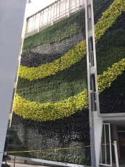 Living-Green-Wall-Installation-at-9255-Sunset-Blvd-Los-Angeles-4