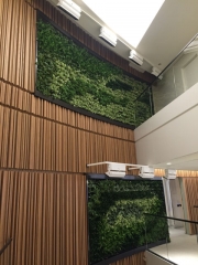 green-wall-installation-los-angeles-0089