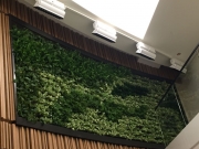 green-wall-installation-los-angeles-0091