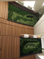 green-wall-installation-los-angeles-0102