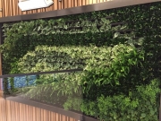 green-wall-installation-los-angeles-0103