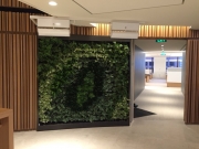 green-wall-installation-los-angeles-0121
