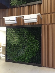 green-wall-installation-los-angeles-0130