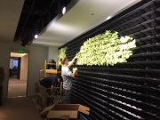 installation-interior-living-wall-los-angeles-11