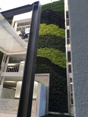 Living-Green-Wall-9255-Sunset-Blvd-Los-Angeles-6