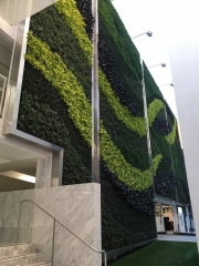 Living-Green-Wall-9255-Sunset-Blvd-Los-Angeles-7