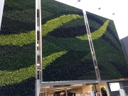 Living-Green-Wall-9255-Sunset-Blvd-Los-Angeles-8