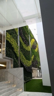 Living-Green-Wall-9255-Sunset-Blvd-Los-Angeles-9