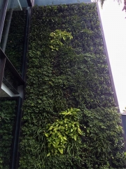 living-wall-EXTERIOR-TODD-REED-3