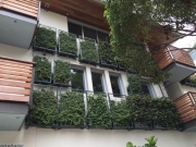 living-wall-exterior-los-angeles-0048