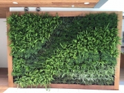 living-wall-exterior-los-angeles-0079