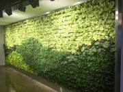 Living Wall Los Angeles, 5900 Wilshire Blvd-1