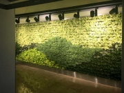 Living Wall Los Angeles, 5900 Wilshire Blvd-2
