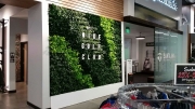 interior-living-wall-design-los-angeles-NIKE