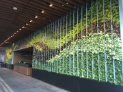 interior-living-wall-design-los-angeles-netflix-3