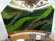 living-wall-los-angeles-commercial-interior-2
