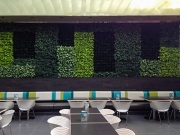 living-wall_0372