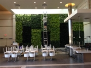 living-wall_0375