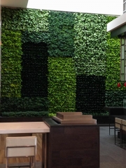 living-wall_0378