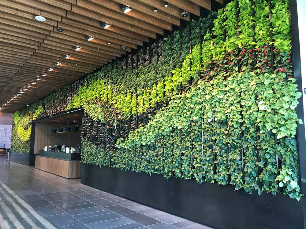 Living Wall Projects Los Angeles