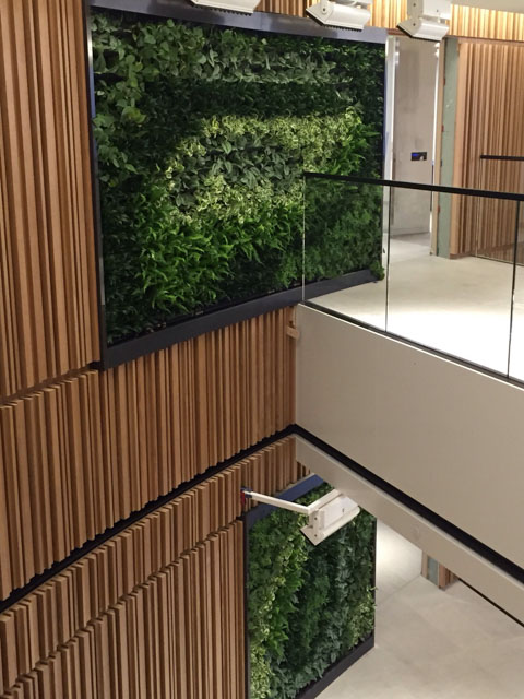 Living Wall Projects – Los Angeles