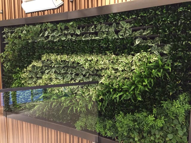 Living Wall Projects Los Angeles Living Wall Interior Projects