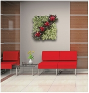living-wall-gallery10