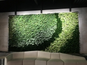 VersaWalls-living-green-walls-los-angeles-LIVENATION