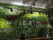 living-wall-gallery3-west-elm-scp
