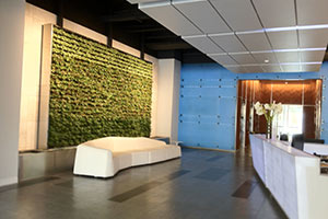 Living-Wall-LiveNation-Hollywood-3x2