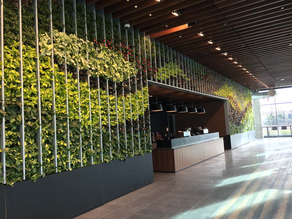 A VersaWall System Living Wall - designed, installed and maintained by YPS Botanicals in Los Angeles at Netflix